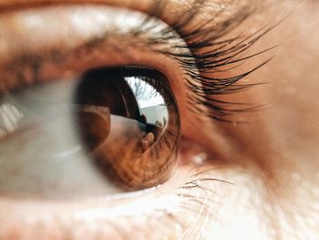 Extreme close-up of person eye