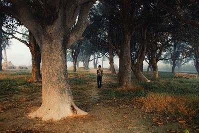 Woman standing by tree on field in forest