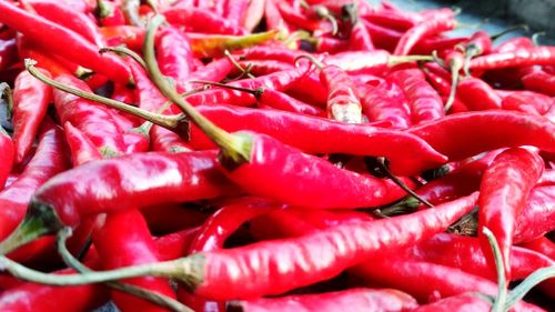 Close-up of red chili peppers