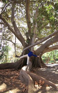Man climbing on tree trunk