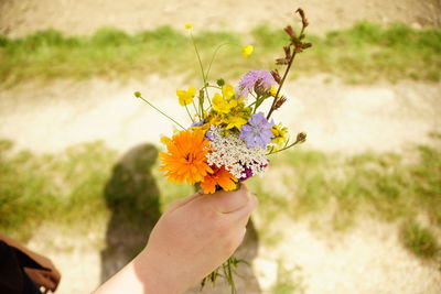 Close-up of woman hand holding flowering plant bouquet outdoors