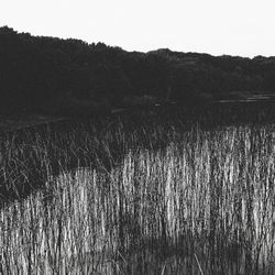 Full frame shot of water