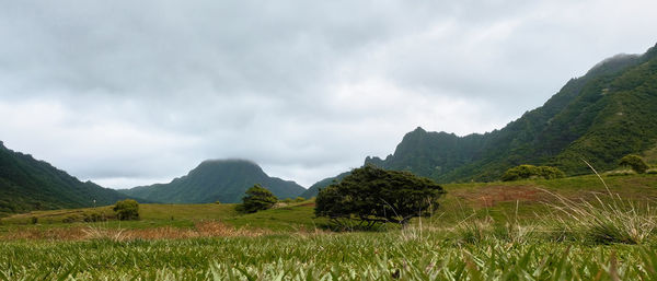 Scenic view of mountains against sky