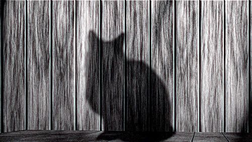 Full frame shot of wooden wall