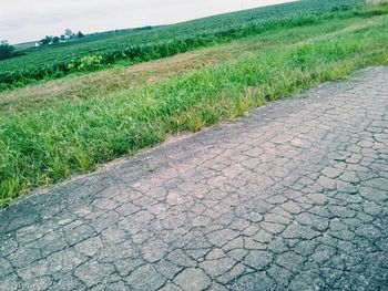 Footpath on grassy field