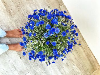 High angle view of bouquet against blue wall