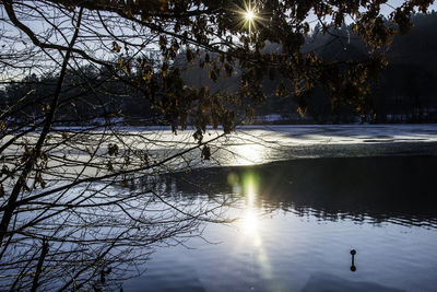 Reflection of trees in lake against sky