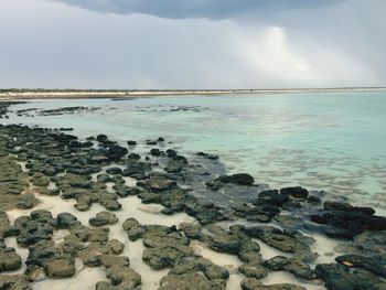 Scenic view of sea against cloudy sky