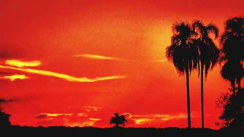 Silhouette palm trees against orange sky