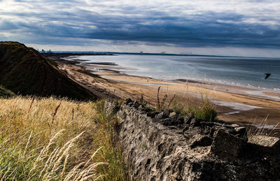 Scenic view of beach against sky