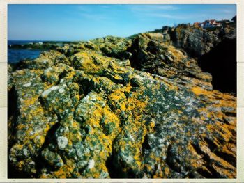 Close-up of lichen on rock formation against sky