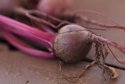 Close-up of common beet on table