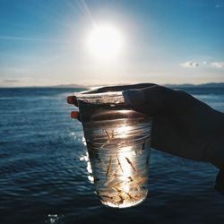 Cropped hand of woman holding small fish in drinking glass against lake during sunset