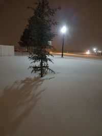 Scenic view of snow covered trees against sky at night