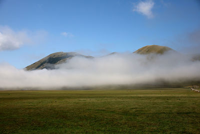 Scenic view of field against sky