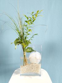 Close-up of plant on table against wall