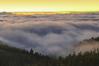 Clouded scenery around the teide national park at tenerife, canary islands, spain, at evening time