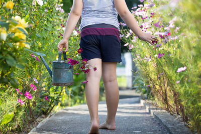 Rear view of woman walking on flowering plants