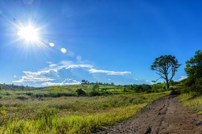 Scenic view of field against bright sun