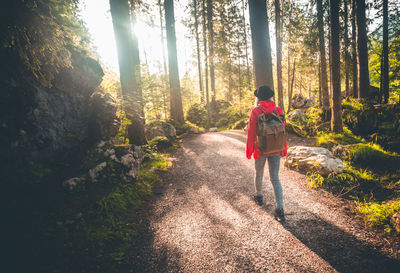 Rear view of woman in forest