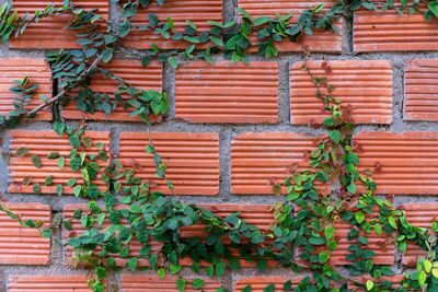 Full frame shot of brick wall