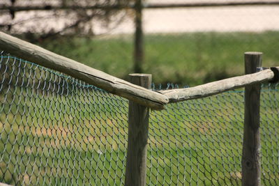 Close-up of chainlink fence on field