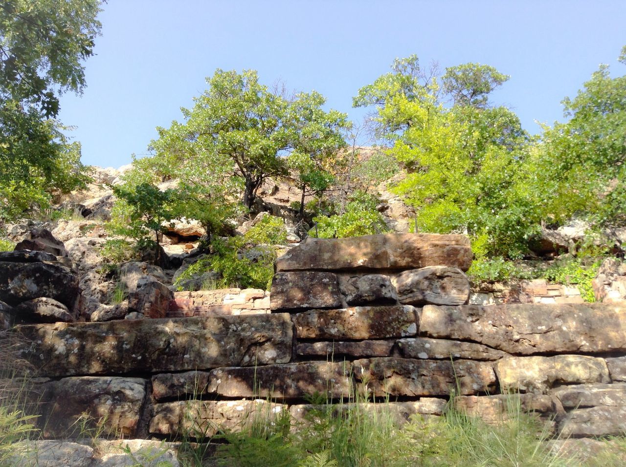 tree, stone wall, clear sky, built structure, growth, plant, steps, rock - object, green color, stone - object, architecture, wall - building feature, stone, day, nature, stone material, tranquility, outdoors, old, sky