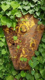 Close-up of old weathered wall