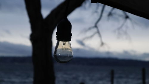 Close-up of light bulb against sky