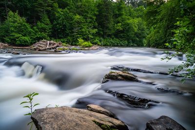 Stream flowing through rocks in forest