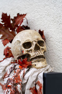 Close-up of human halloween decoration with skull and red autumn leaves on white background wall.