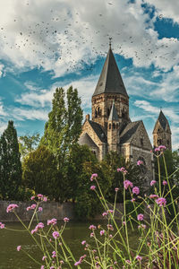 Low angle view of flowering plants by buildings against sky