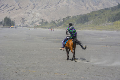 Rear view of woman riding horse on beach