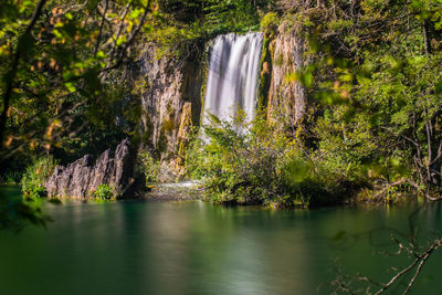 Scenic view of waterfall in forest