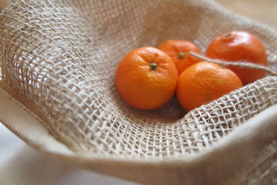 Close-up of food