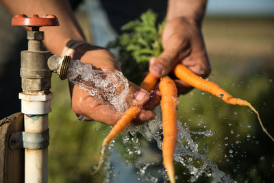 Cropped image of man washing carrots from faucet