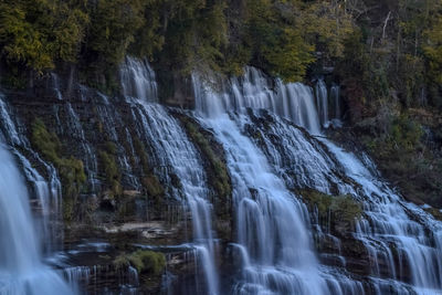 Scenic view of waterfall in forest