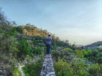 Man on road amidst trees against sky