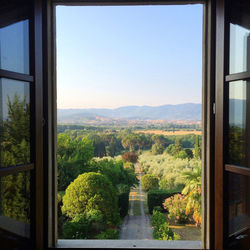 Trees on landscape against clear sky seen through window