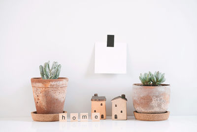 Potted plant on table against white background
