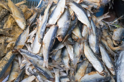 Full frame shot of fish in market