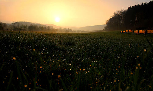 Scenic view of field against sky at sunset