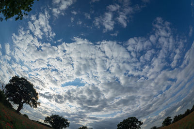 Low angle view of silhouette trees against sky