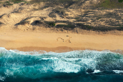 Aerial view of waves on beach