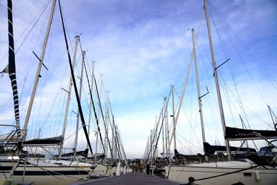 Sailboats moored at harbor