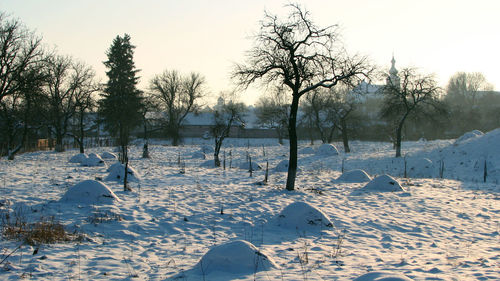 Trees on snow covered landscape against sky