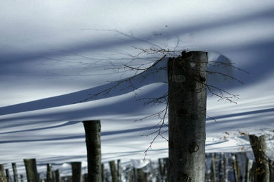 Close-up of wooden post against sky