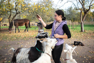 Woman feeding goats at farm