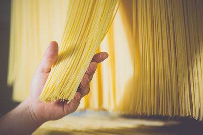 Cropped image of hand holding raw spaghetti