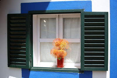 Flower vase on the window's sill